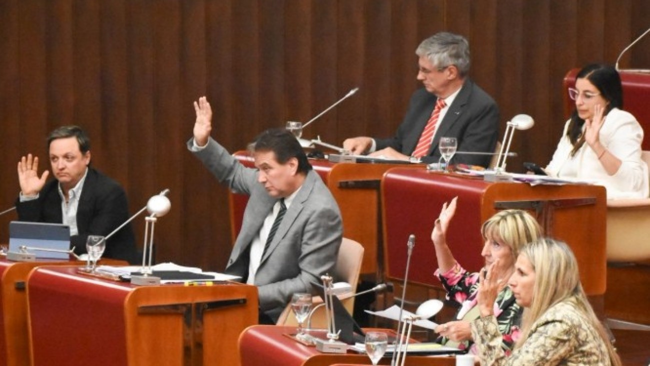 Se rompe el oficialismo en Chubut: dos diputados arman bloque propio y dejan expuesto a Torres