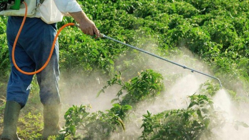 Condena histórica en Corrientes por intoxicación con agroquímicos