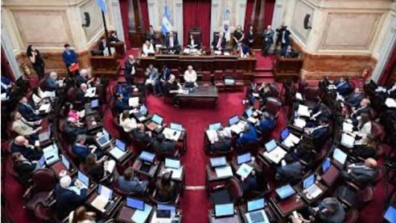 El Senado aprobó la baja de la edad de imputabilidad de 16 a 14 años