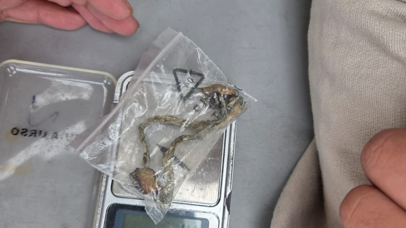 Identifican a un hombre con hongos alucinógenos en Rada Tilly durante operativo Verano Seguro