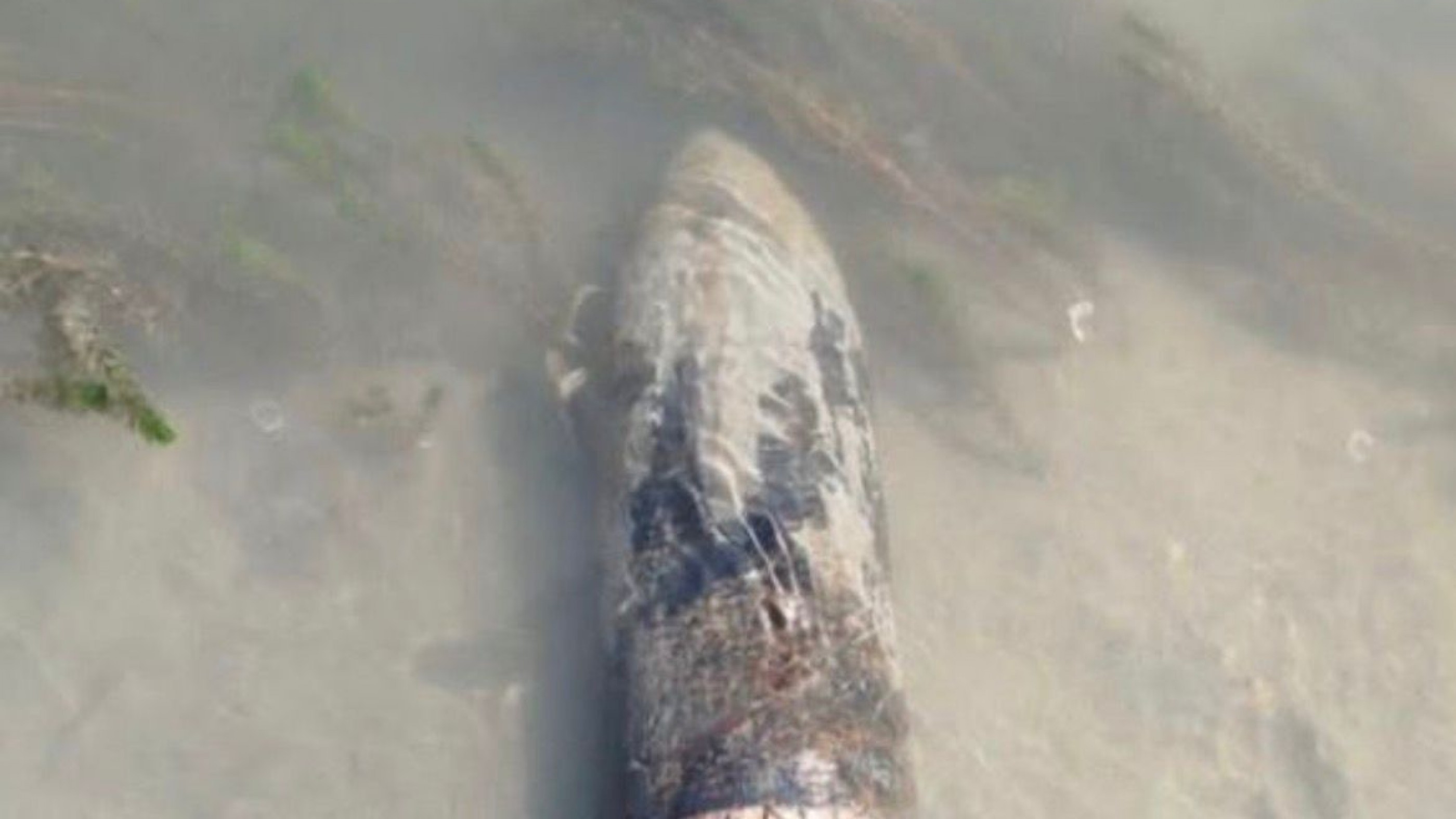 Encontraron un proyectil de artillería de 152 mm en la orilla del río Chubut