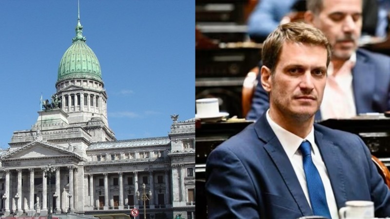 Escándalo en Diputados: un paquete con un arma de aire comprimido activó las alarmas de seguridad