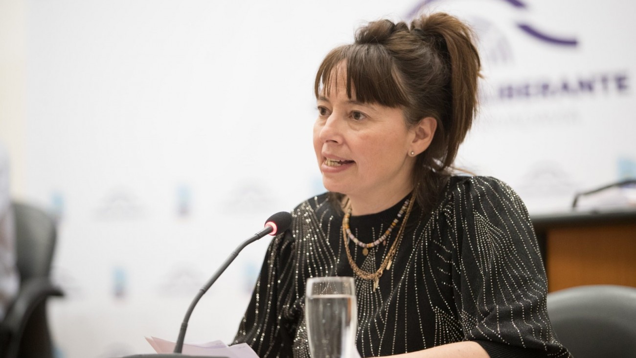 Maite Luque aseguró que "el pliego pide acreditar disponibilidad de las unidades, no titularidad"