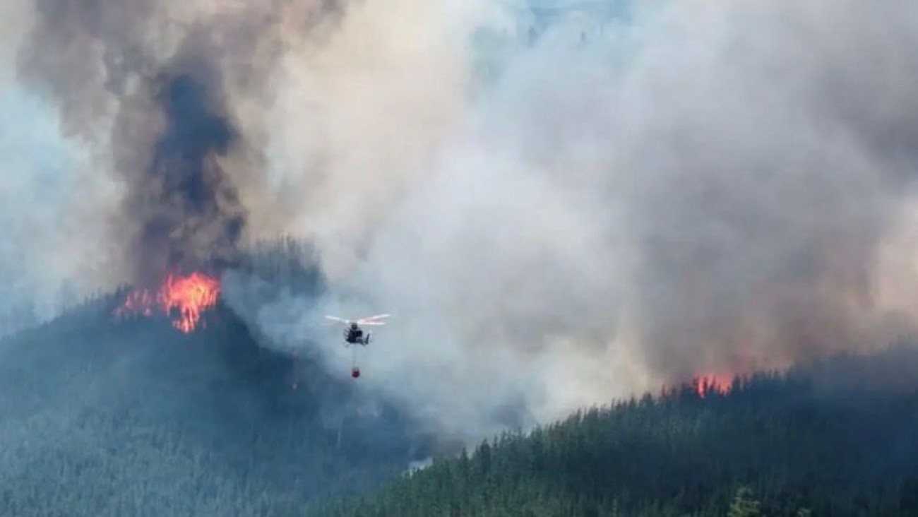 Más de 30 mil hectáreas arrasadas: dieron por extinguido el incendio en Puerto Patriada