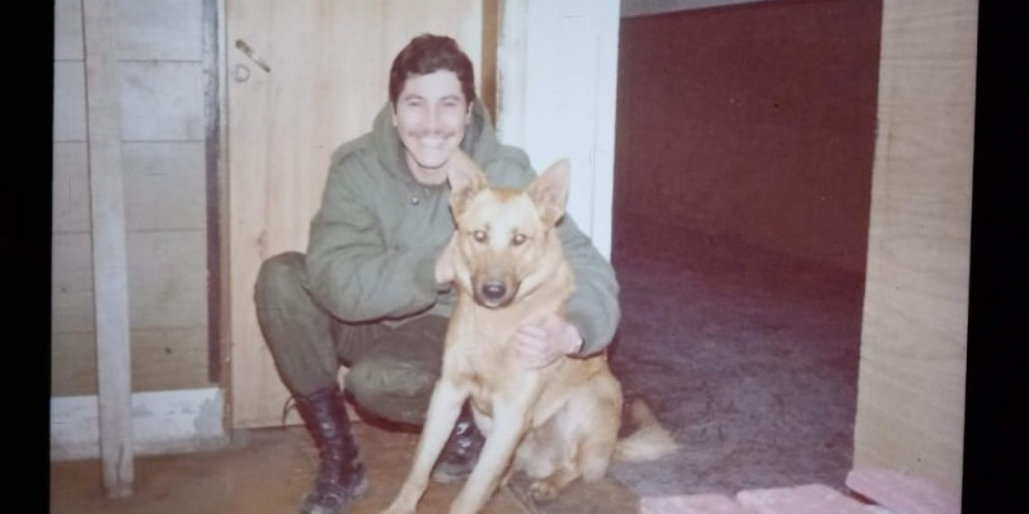 La historia de Mortero, el perro de Comodoro que peleó en Malvinas, fue capturado por los ingleses y regresó como prisionero