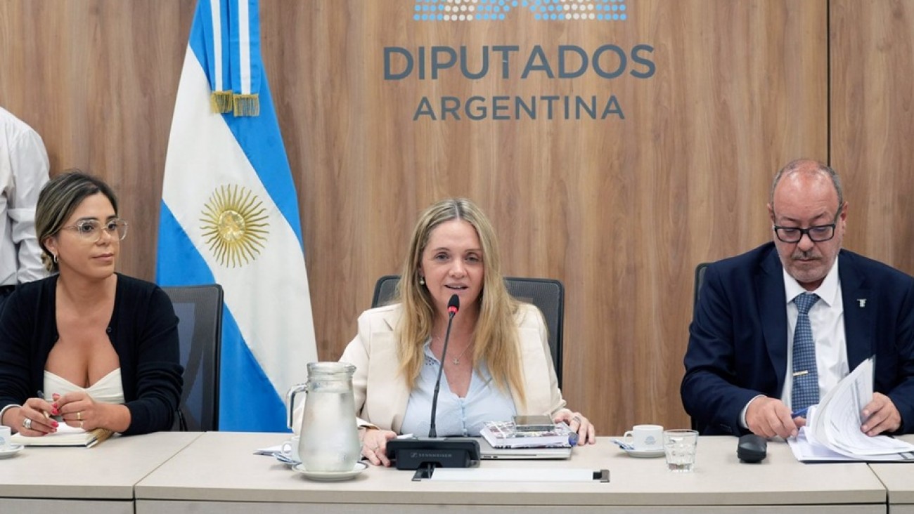 Escándalo en Salta: una legisladora de Milei usa fondos públicos para los traslados privados de su familia