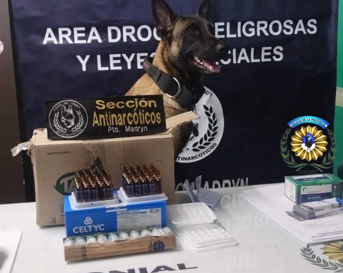 Fentanilo y "Tussi" en Chubut: un perro antinarcóticos detectó una encomienda letal