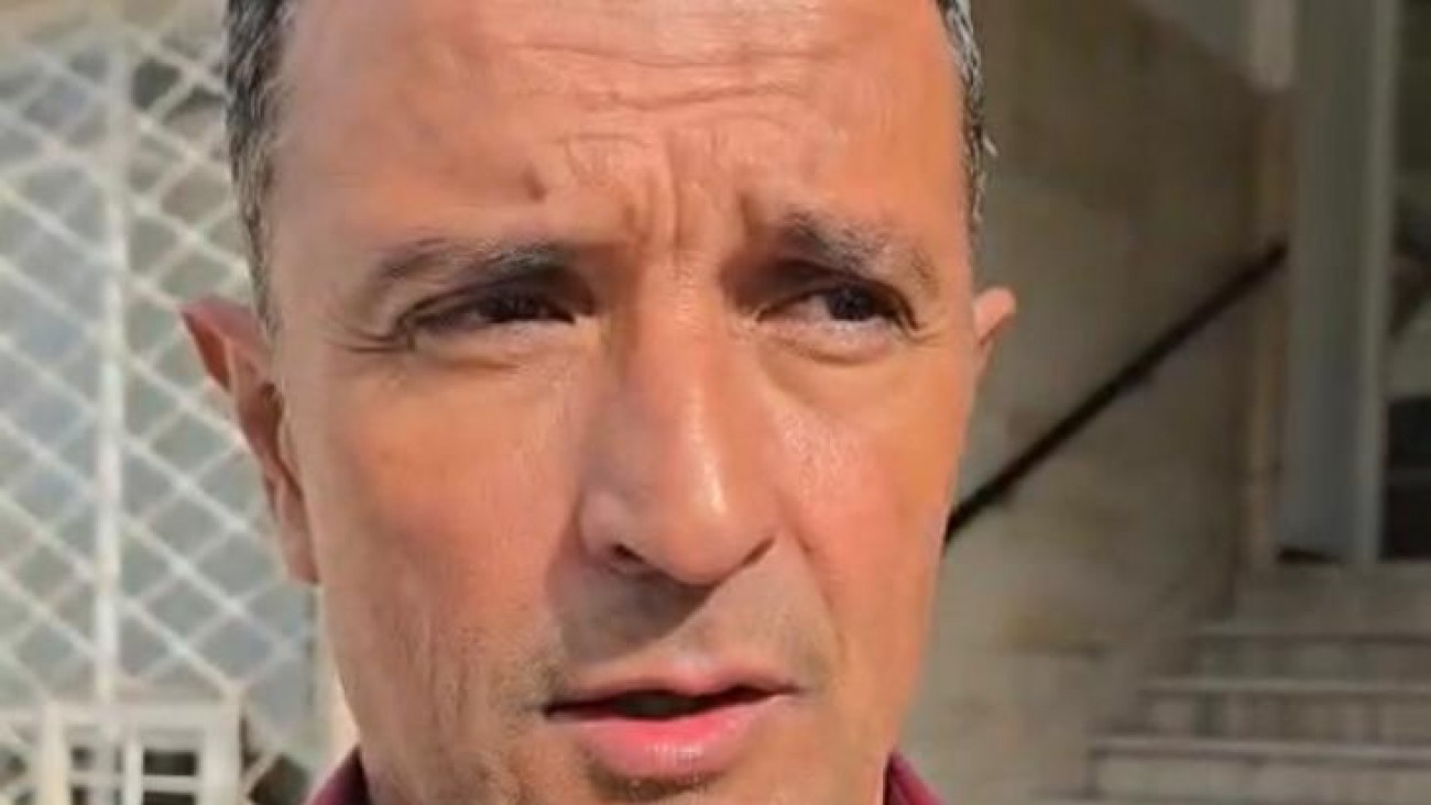 Caballos sueltos: nueva ordenanza permitirá retirar animales de la vía pública