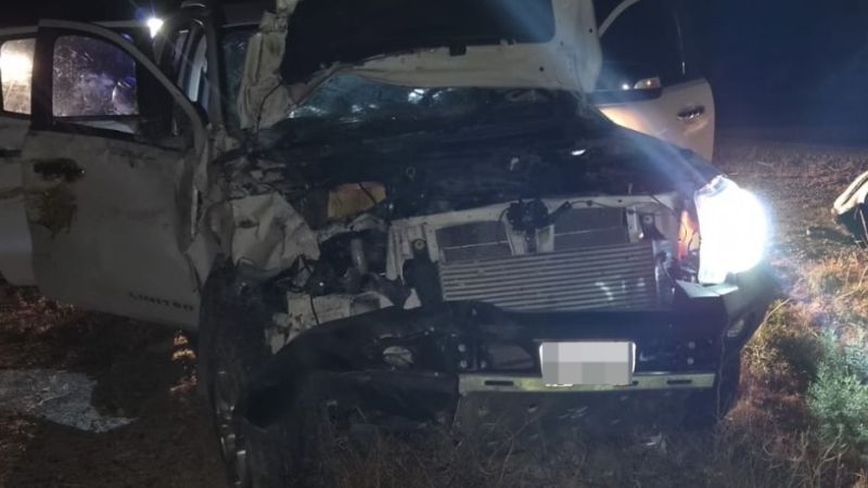 Viajaba para dar a luz y chocó contra caballos sueltos en la Ruta 25