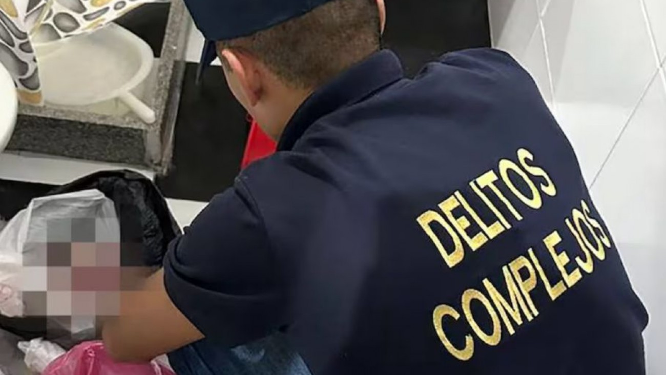 Hallaron ocho fetos en bolsas de residuos en una clínica de Villa Ballester
