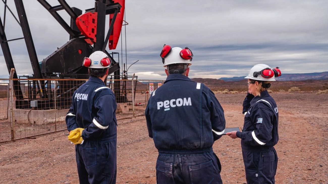 Cuánto lleva pagado PECOM por Manantiales Behr