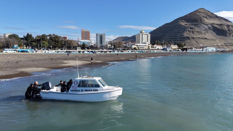 Se anunció en Comodoro el permiso ambiental para el desarrollo de snorkel, buceo y nado con lobos marinos como producto turístico