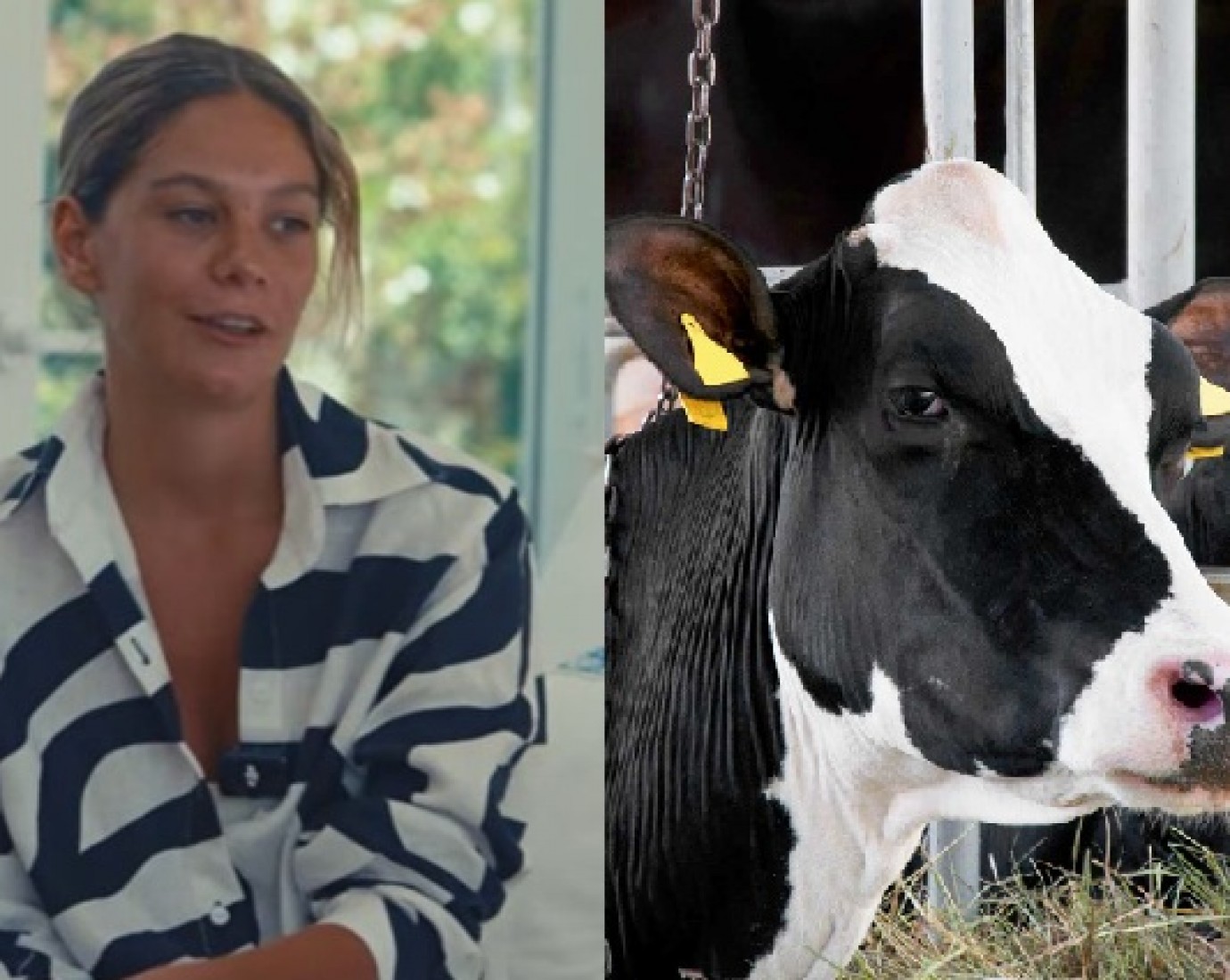 "Sabe que el futuro tiene que ser sin carne": el bombazo de la hija del vicepresidente de la Sociedad Rural