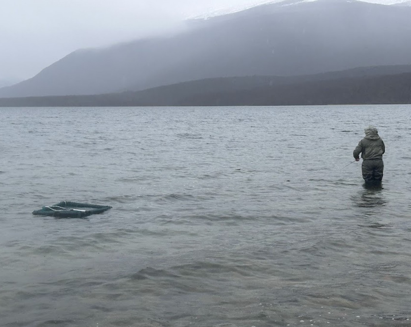 Pesca colaborativa en la cordillera: Chubut convoca a mosqueros para una campaña clave de captura de truchas y obtención de ovas en Río Pico