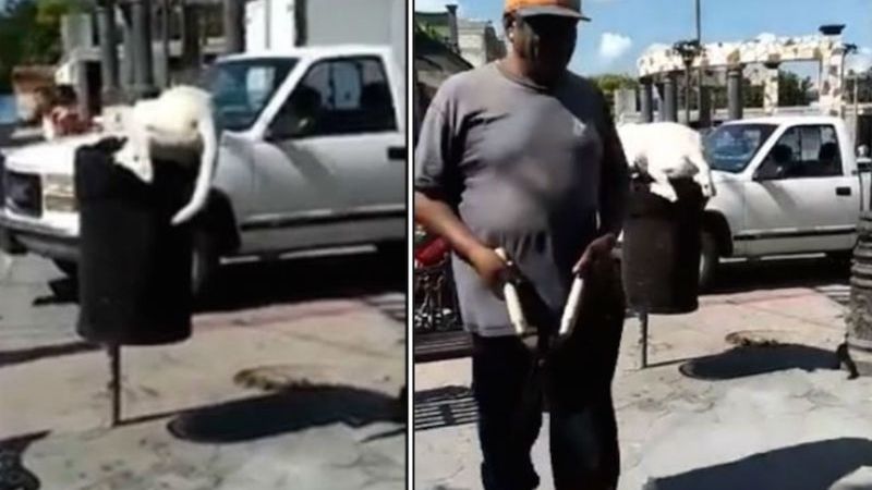 Le cortó la cola a un perro con tijeras de jardinero