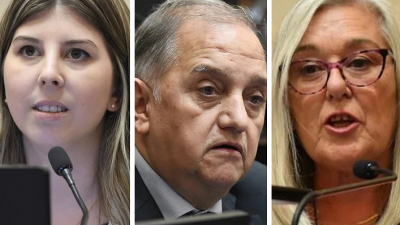 Linares en contra, Andrea Cristina y Terenzi a favor: los votos de los chubutenses en la debatida sesión del Senado