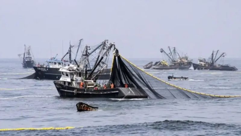 Pesca ilegal: Luque junto a diputados de UxP pidieron acelerar el tratamiento del proyecto que agrava las penas