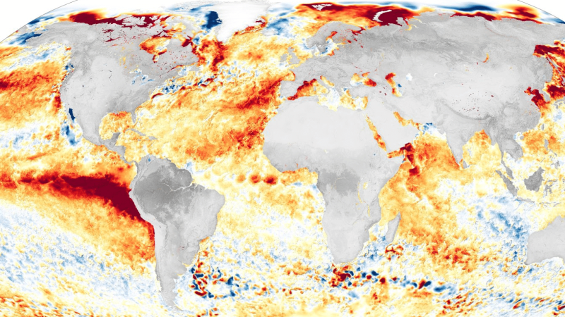 Alerta global por el "Súper Niño": estiman que el calor extremo podría causar la muerte de cientos de miles de personas