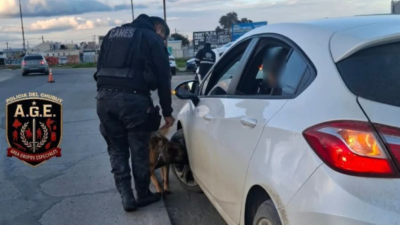Olfato infalible: el perro "McQueen" marcó un vehículo y secuestraron marihuana en el Kilómetro 5