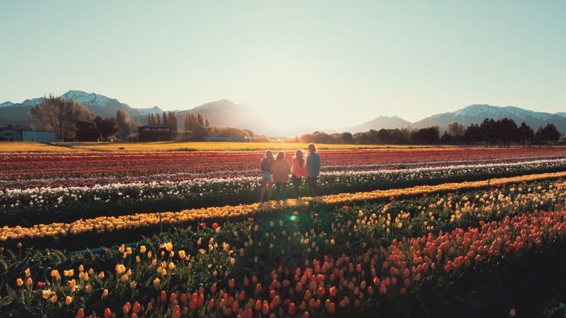 Fin de semana largo en Chubut: más de 24 mil turistas y un impacto económico de casi 11.000 millones de pesos