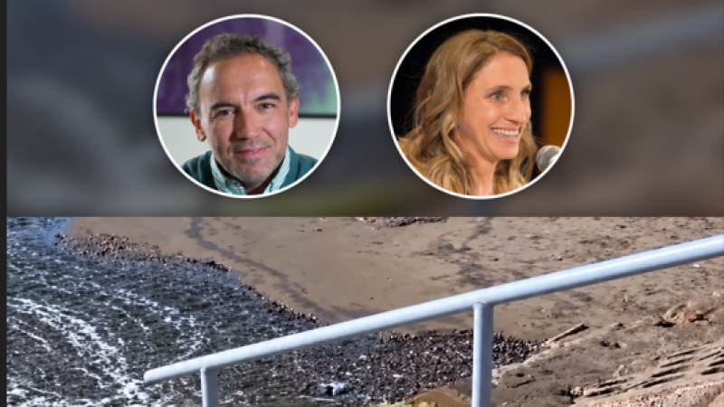 "Nunca vimos esos análisis": un concejal cuestionó a Peralta por el agua que Rada Tilly descarga al mar