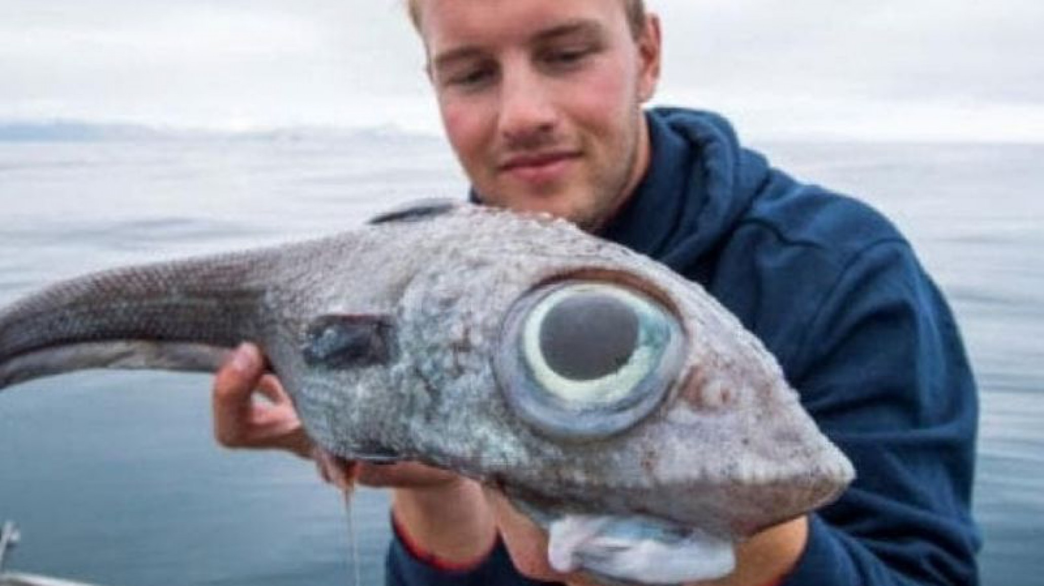 ¡Impresionante! Un joven salió a pescar sin imaginarse lo que iba a encontrar