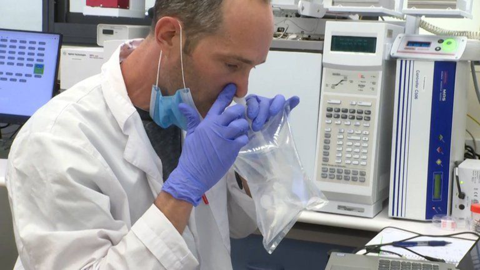 Coronavirus: desarrollan un test que actúa en 30 segundos