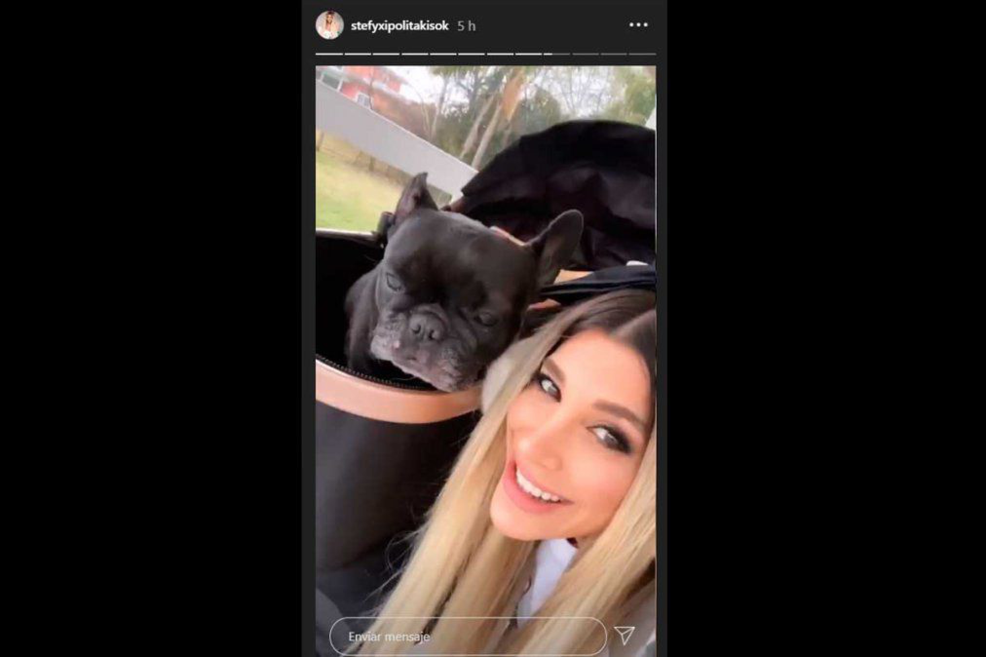 Stefy Xipolitakis paseó a su perrita en cochecito de bebé por un conmovedor motivo